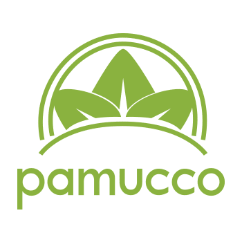 Pamucco